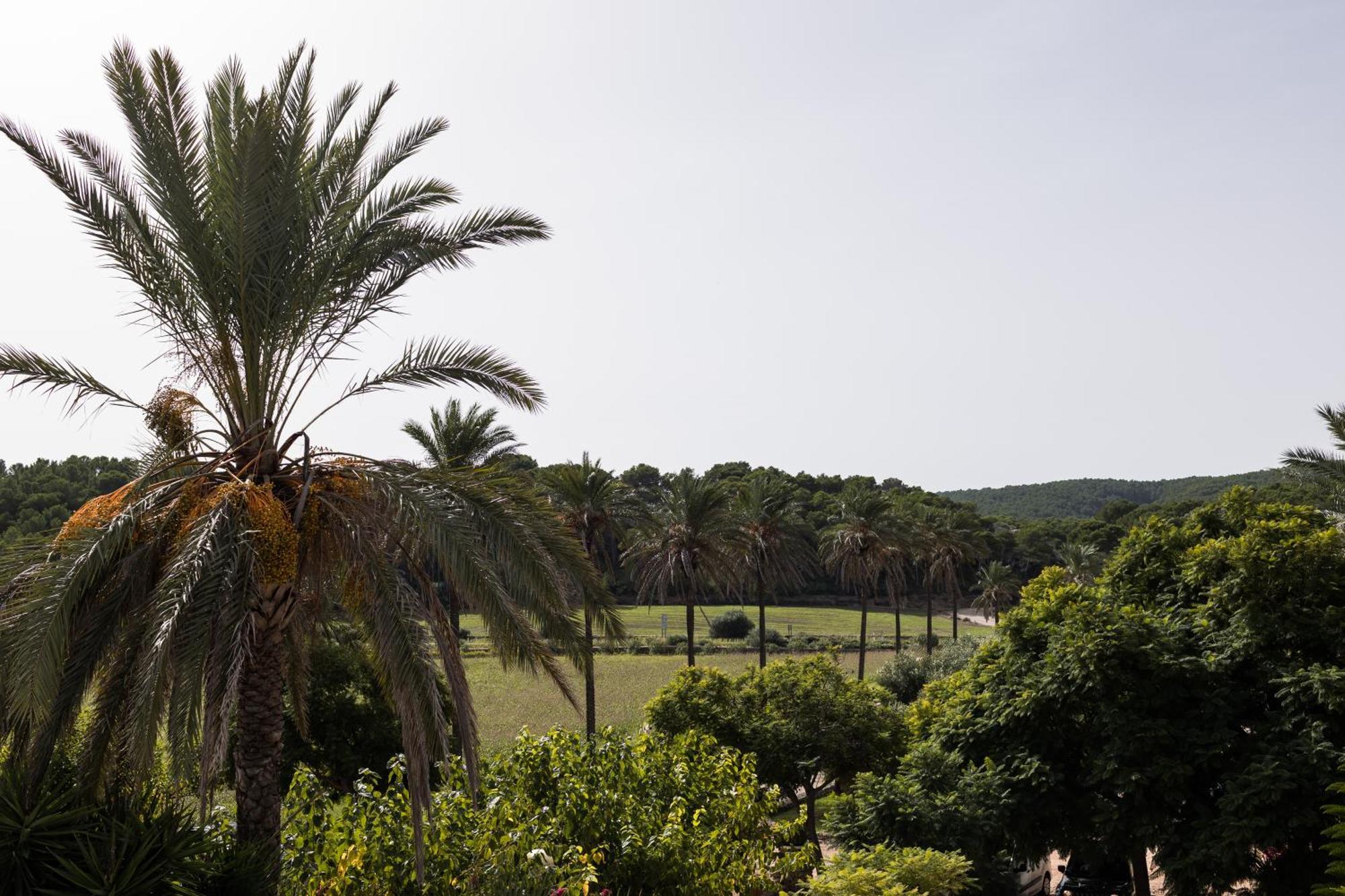 Llucatx Menorca Hotel Son Parc Room photo